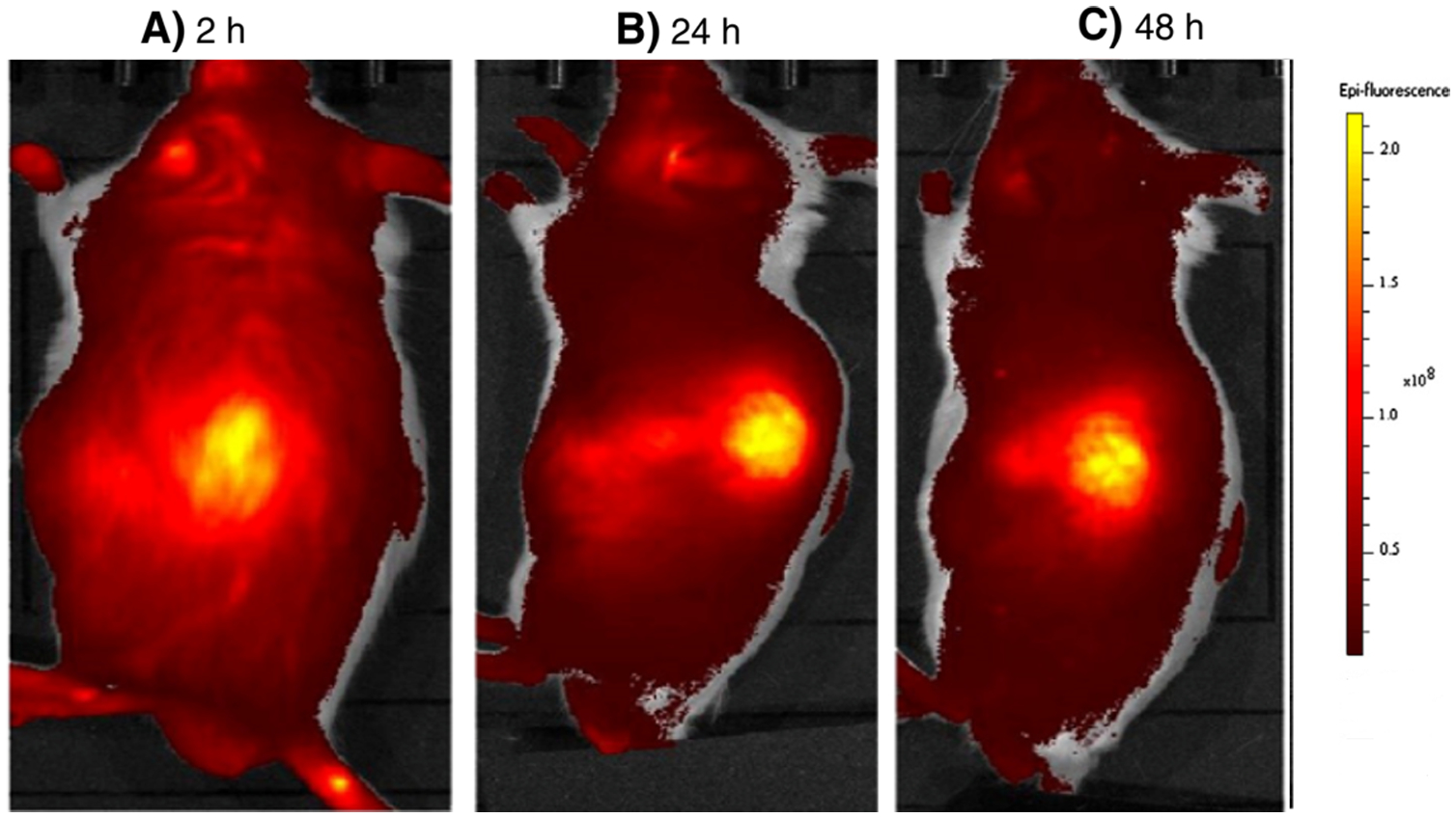 Figure 3.