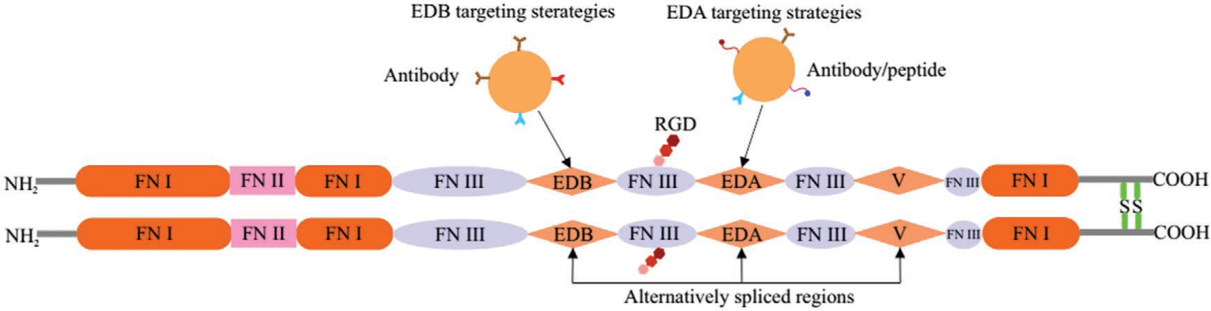 Figure 12.