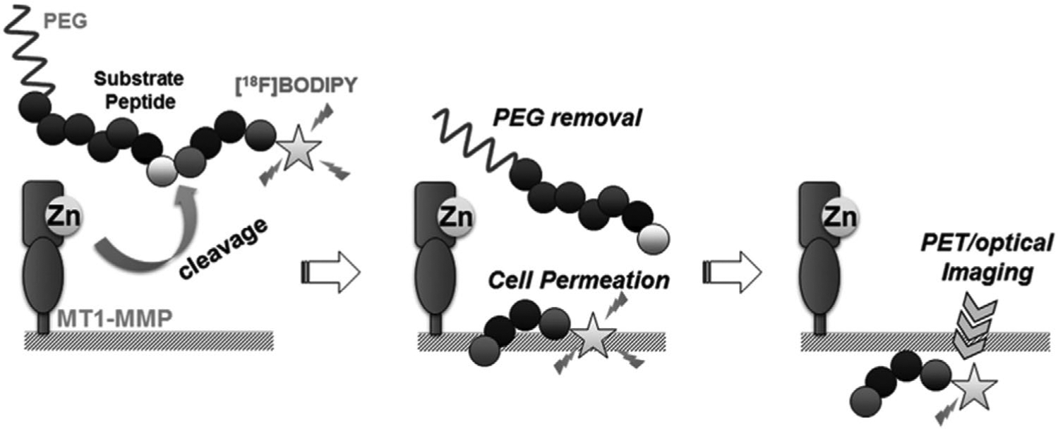 Figure 10.