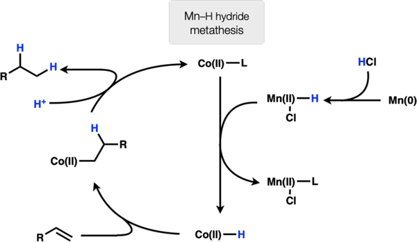 Scheme 5