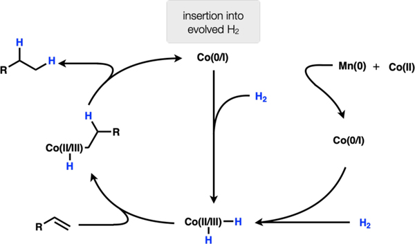 Scheme 4