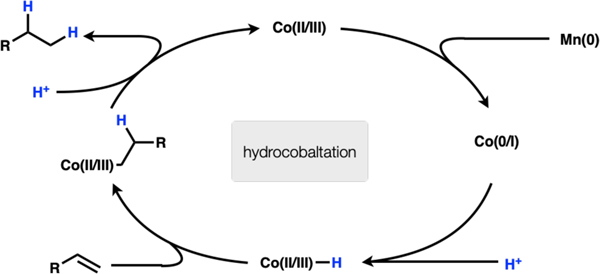 Scheme 3