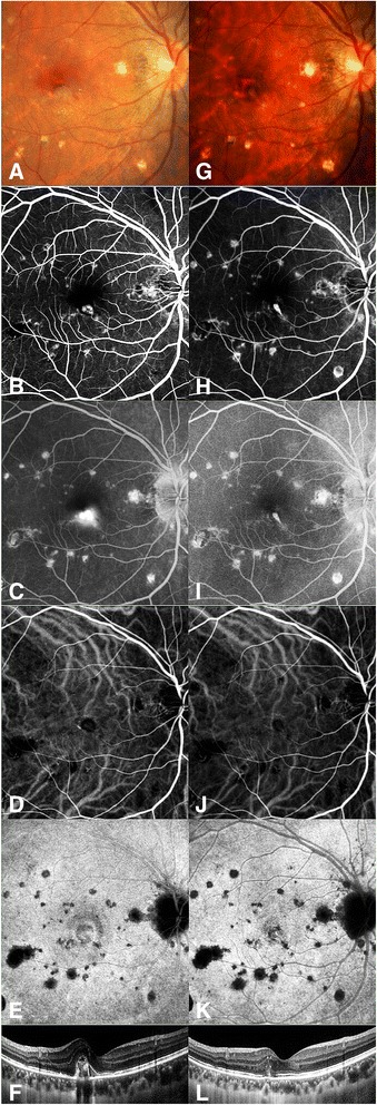 Fig. 3