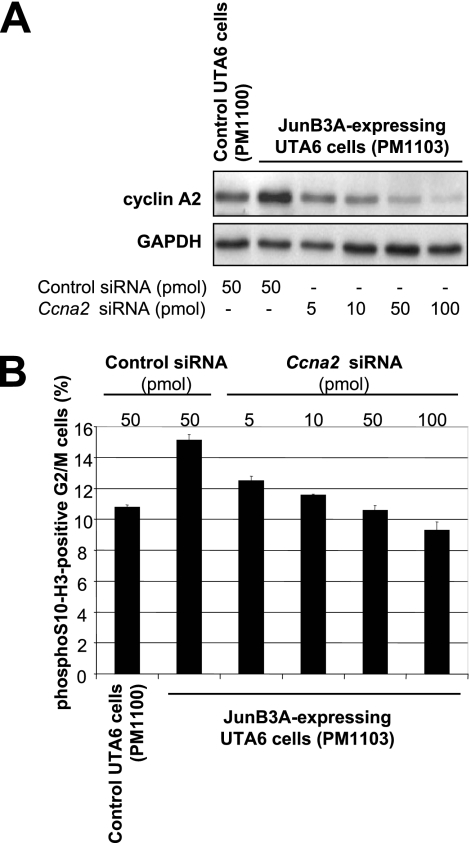 FIG. 12.