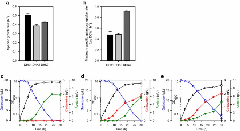 Fig. 2