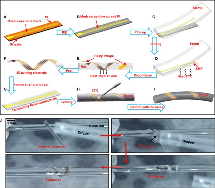 Fig. 2