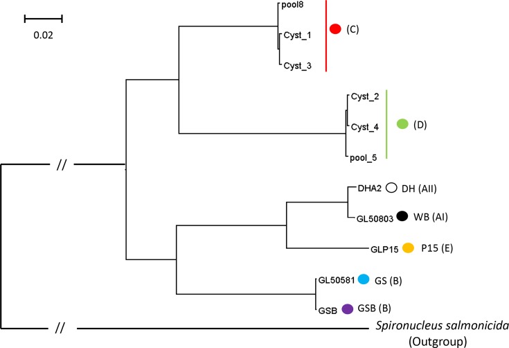 Fig. 3.