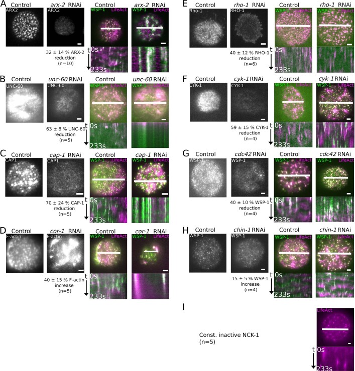 Extended Data Fig. 4