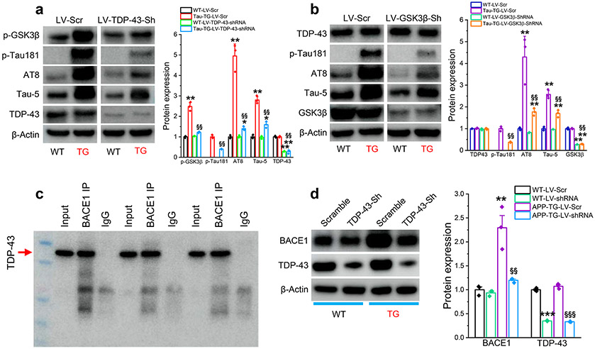 Figure 10.