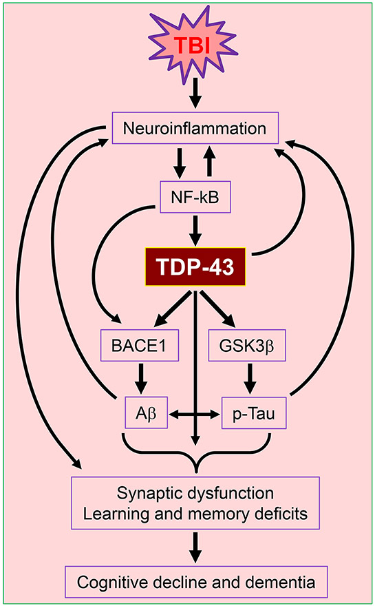 Figure 11.