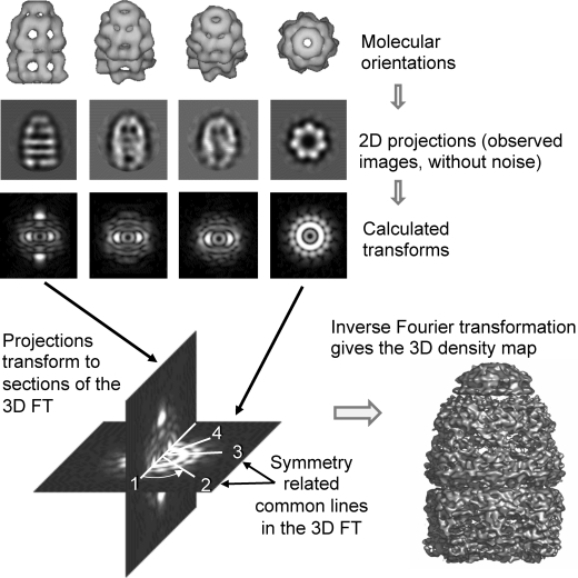 Figure 21