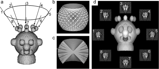 Figure 19