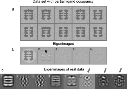 Figure 32