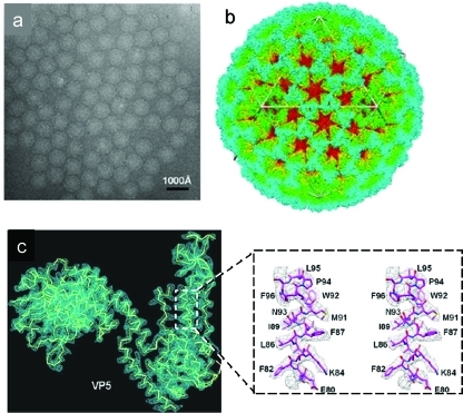 Figure 33