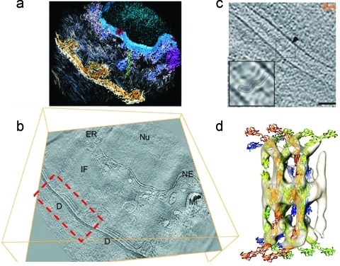 Figure 35