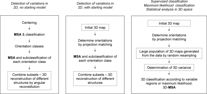 Figure 31