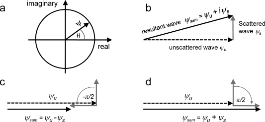 Figure 8