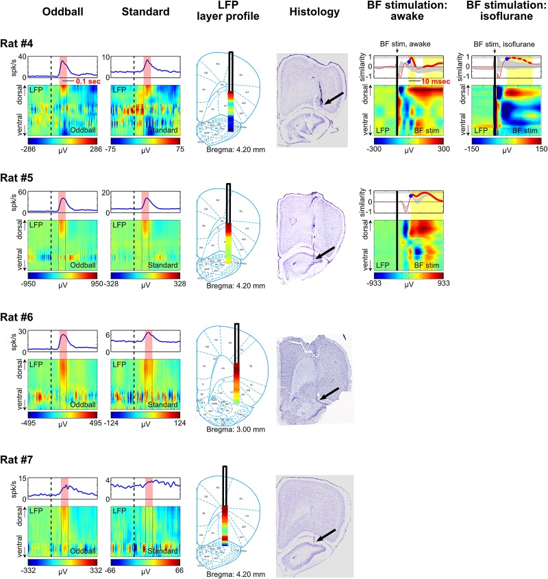 Figure 4—figure supplement 2.