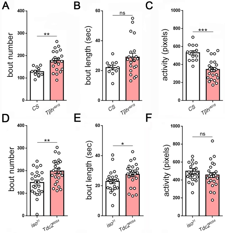 Figure 5—figure supplement 2.