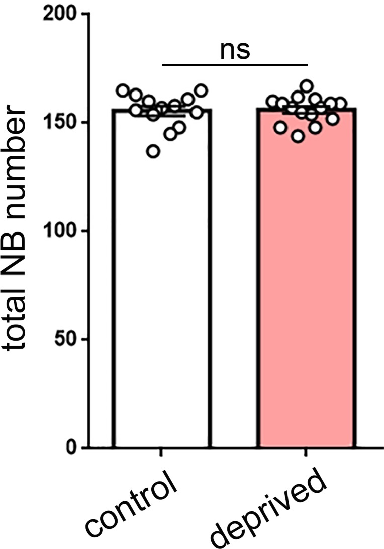 Figure 6—figure supplement 1.