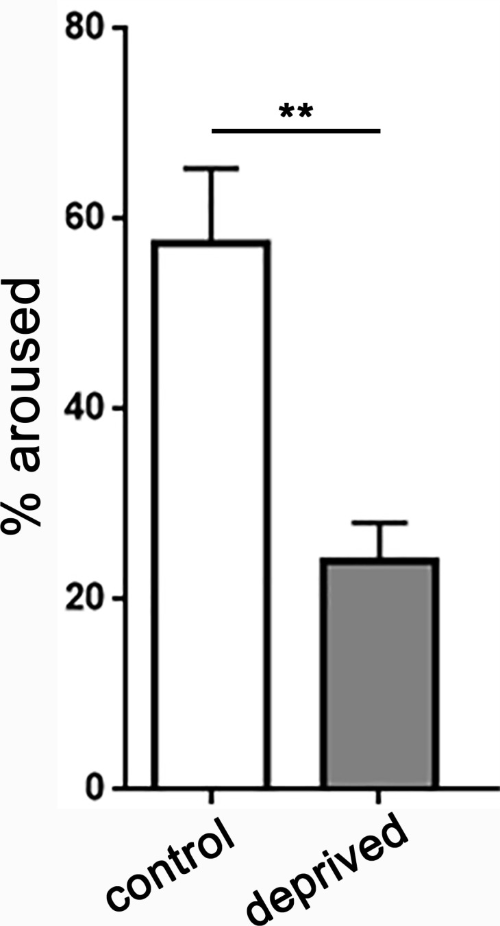 Figure 3—figure supplement 2.