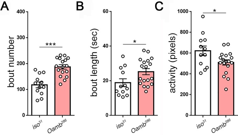 Figure 5—figure supplement 4.