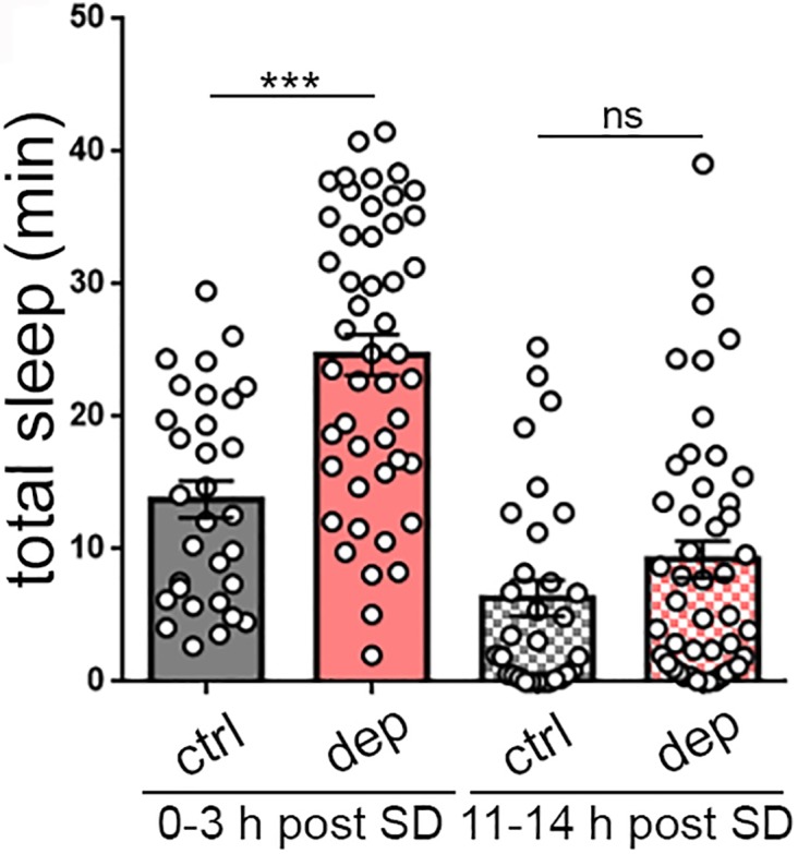 Figure 3—figure supplement 1.