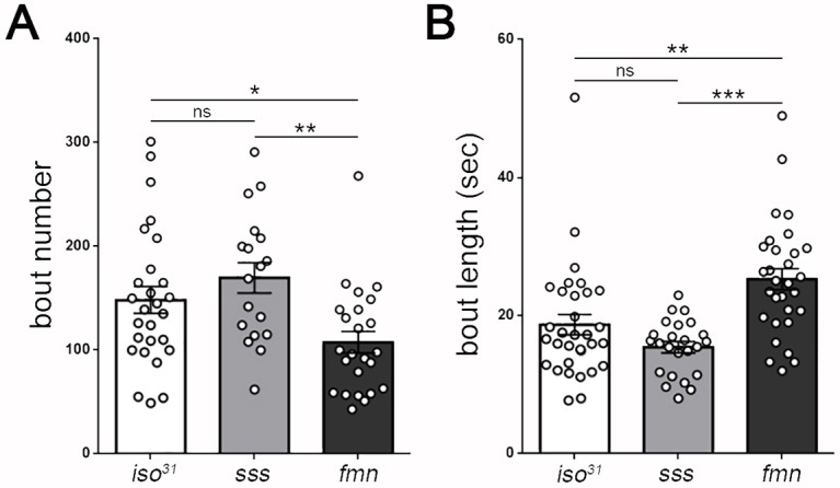 Figure 4—figure supplement 2.