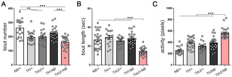 Figure 5—figure supplement 1.