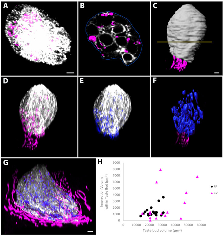 Figure 3: