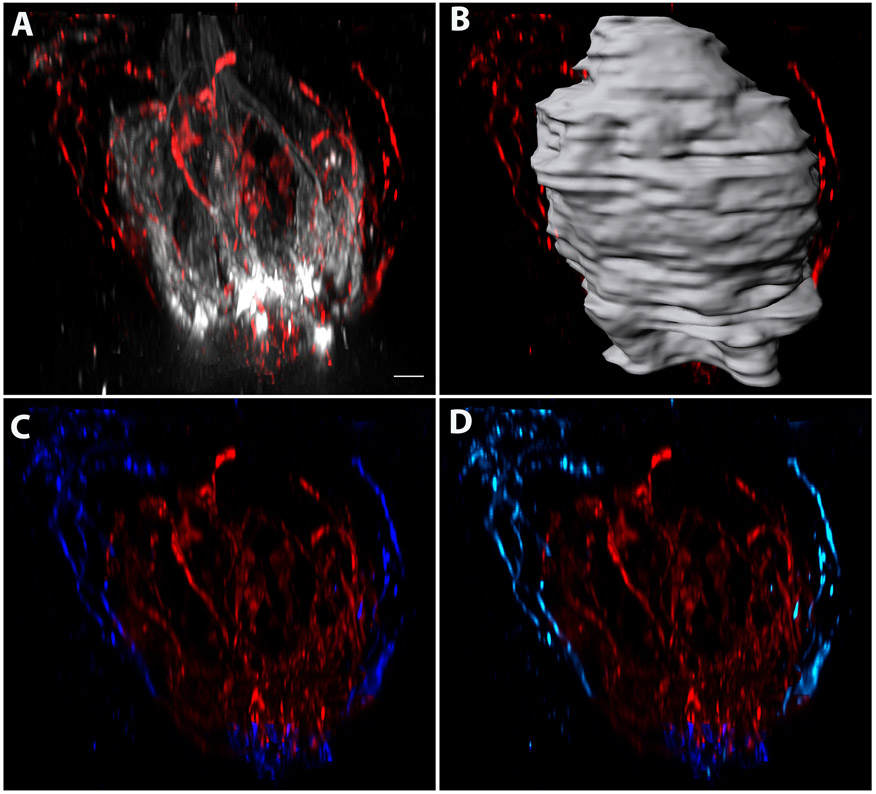 Figure 7: