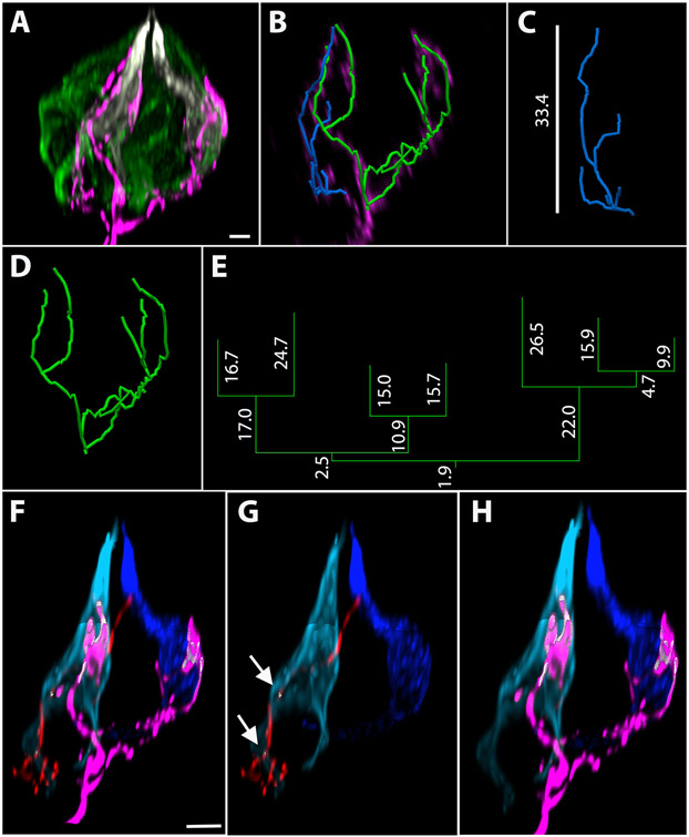 Figure 4: