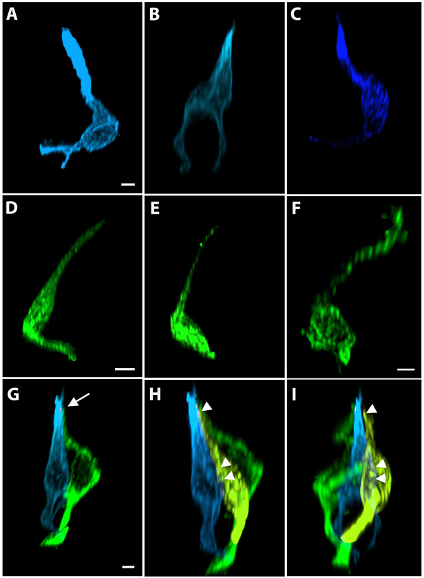 Figure 6: