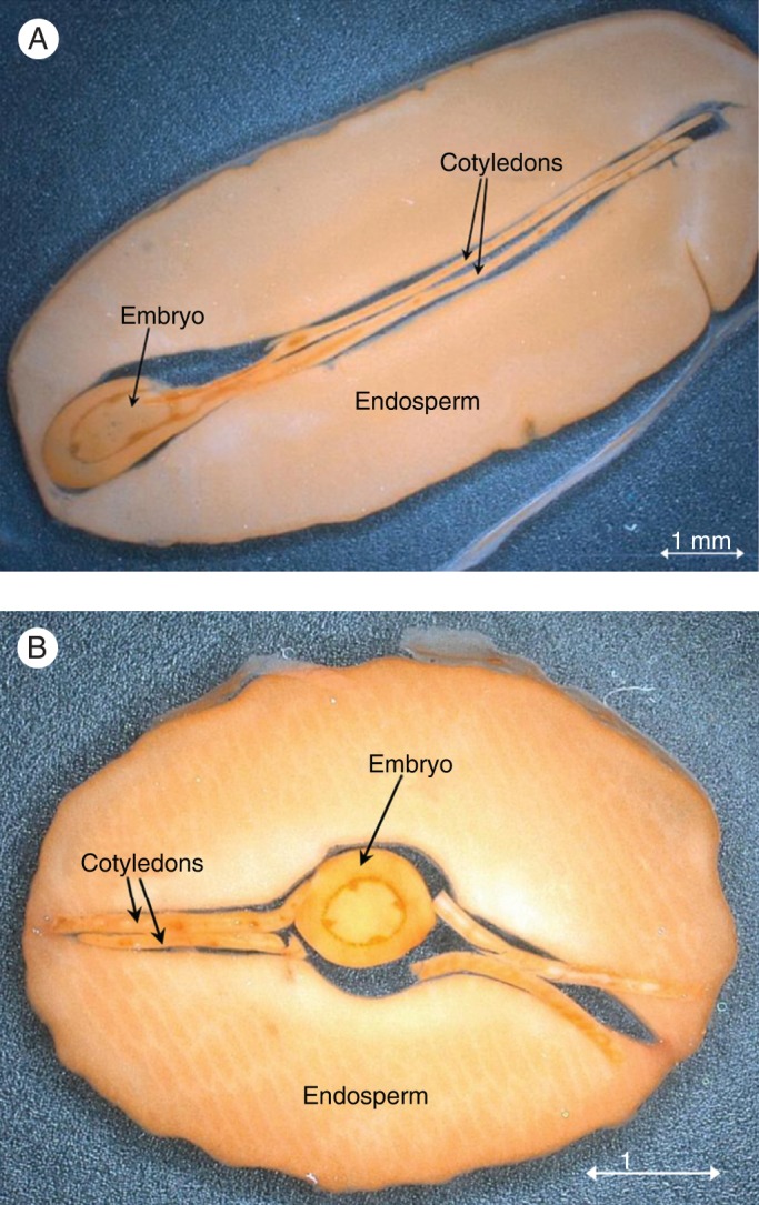 Fig. 7.