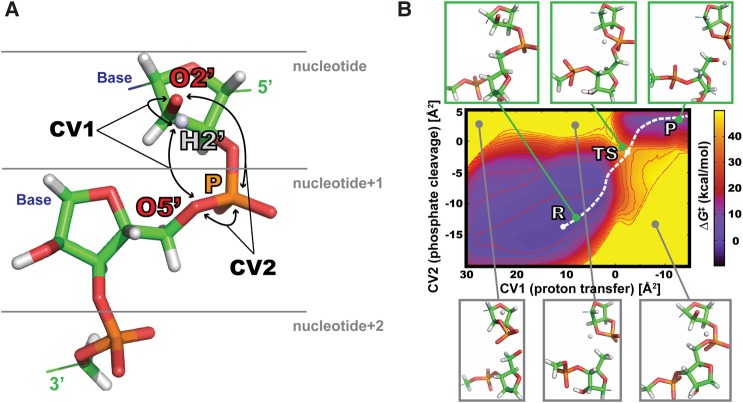 FIGURE 1.