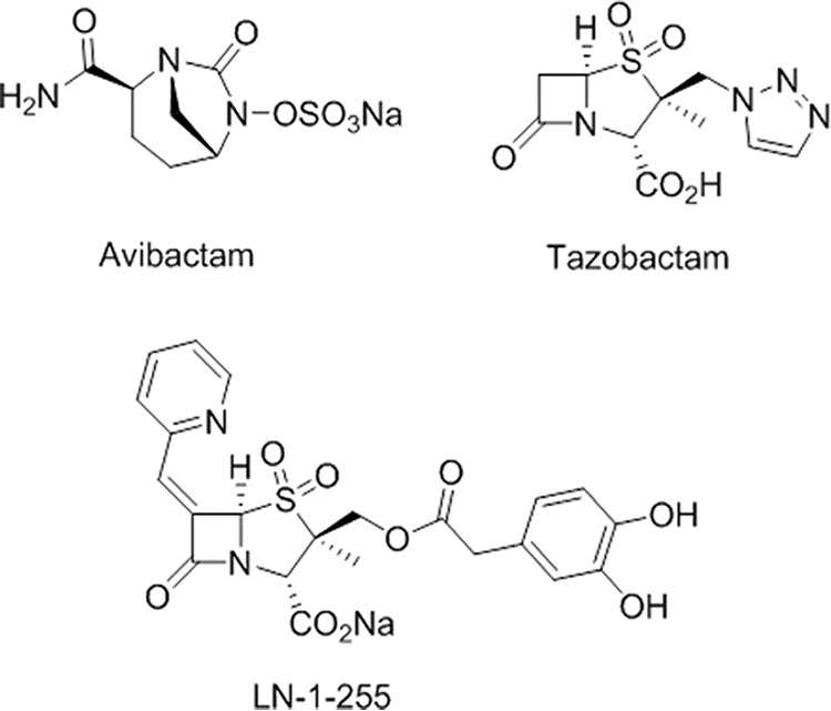 FIG 1