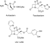 FIG 1