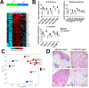 Figure 5: