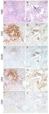 Figure 3: