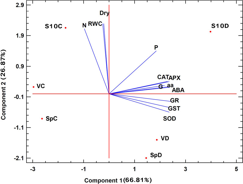 Fig 6