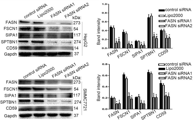 Fig. 6