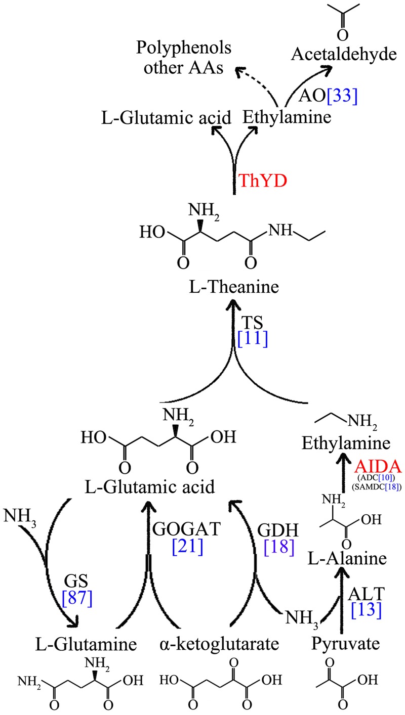 FIGURE 4