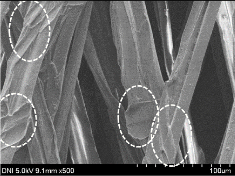 graphic file with name polymers-13-01578-i007.jpg