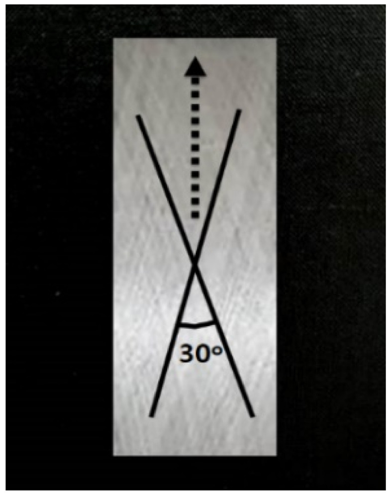 graphic file with name polymers-13-01578-i001.jpg