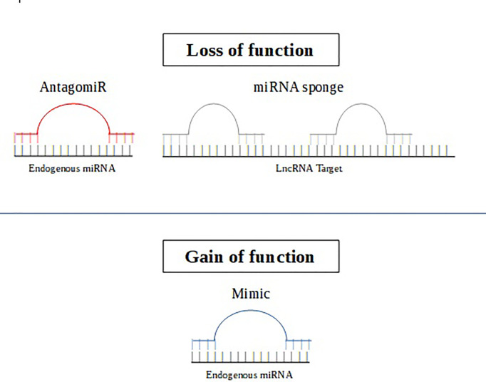 Figure 2