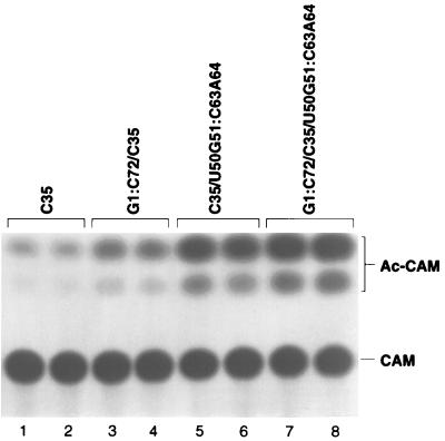 FIG. 6