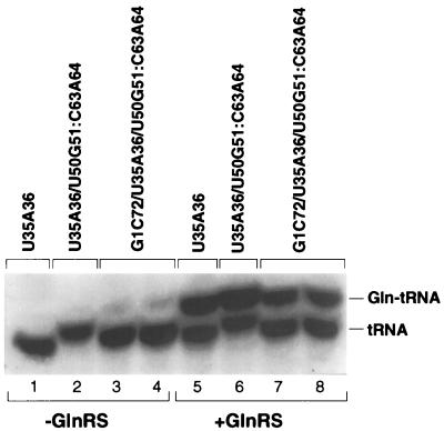 FIG. 7