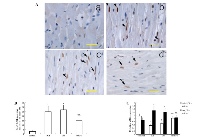 Figure 3.