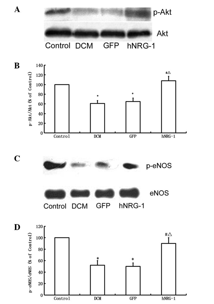 Figure 5.