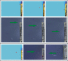 Fig 7